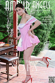 [Image: cover_3496.jpg]